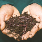 Sean-OGrady-MD-Composting-Benefits