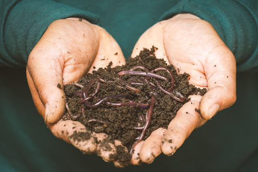 Sean O'Grady MD - Composting Benefits